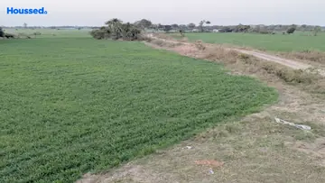 Project Image of Agriculture Land for Resale in Ratibad, Bhopal - Image 144170