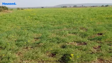 Project Image of Commercial Land for Resale in Ratibad, Bhopal - Image 144625