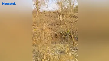 Project Image of Agriculture Land for Resale in Ratibad, Bhopal - Image 144698