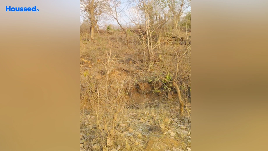 Project Image of Agriculture Land for Resale in Ratibad - Image 144698