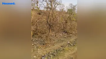 Project Image of Agriculture Land for Resale in Ratibad, Bhopal - Image 144697