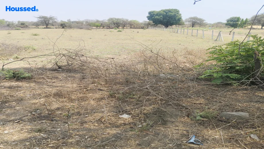 Project Image of Agriculture Land for Resale in Bhauri - Image 144727