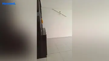Project Image of 3 BHK Flat for Rent in Emerald Anmol Sector 88, Faridabad - Image 145115