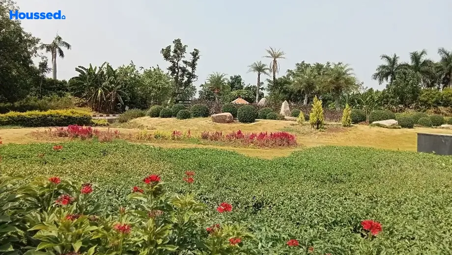 Amenities of Housing Plot/Residential Land for Resale in Pragati Green Heights, Moinabad - Image 145505