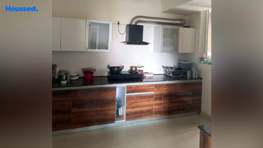Project Image of 3 BHK Semi-Furnished Flat for Rent in Ambika Florence Park, New Chandigarh - Image 145451