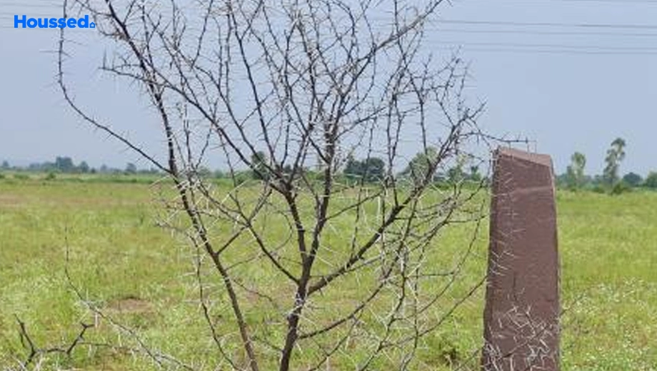Project Image of Agriculture Land for Resale in Lalghati - Image 145756