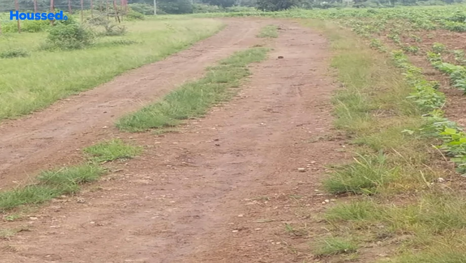 Project Image of Agriculture Land for Resale in Jahangirabad - Image 145891