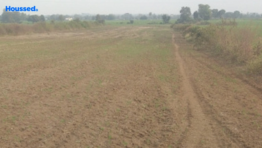Project Image of Agriculture Land for Resale in Jahangirabad - Image 145890