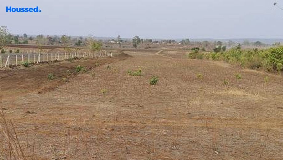 Project Image of Agriculture Land for Resale in Phanda Kala - Image 145932