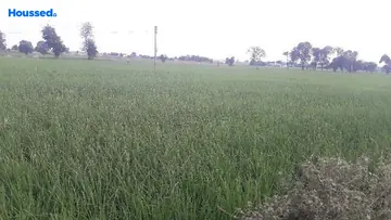 Project Image of Agriculture Land for Resale in Awadhpuri, Bhopal - Image 146015