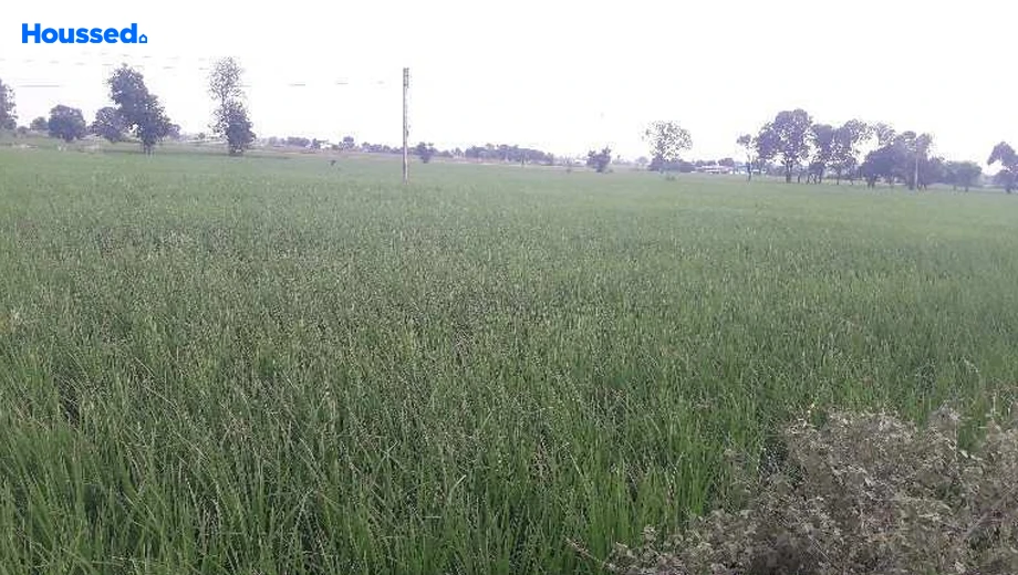 Project Image of Agriculture Land for Resale in Awadhpuri - Image 146015