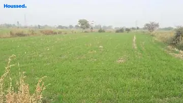 Project Image of Agriculture Land for Resale in Salaiya, Bhopal - Image 146031