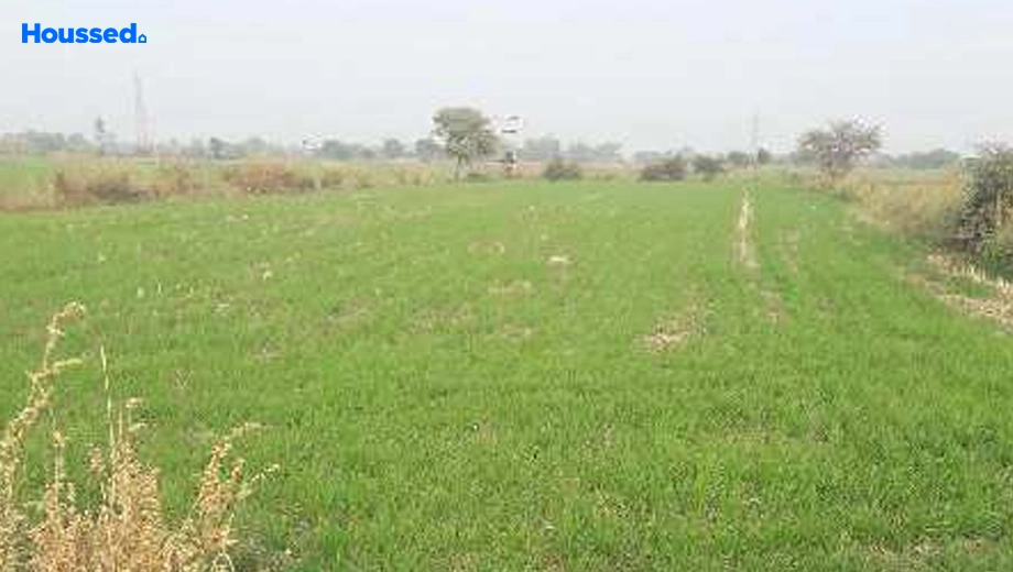 Project Image of Agriculture Land for Resale in Salaiya - Image 146031
