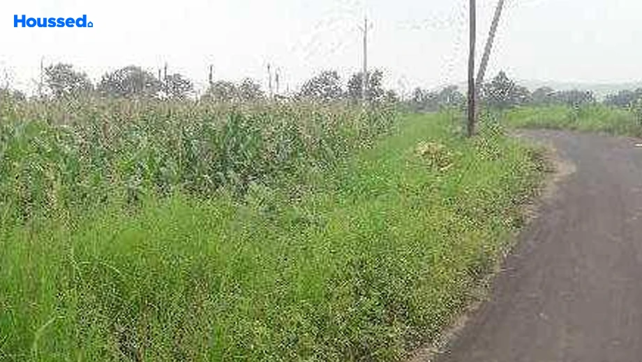 Project Image of Agriculture Land for Resale in Lalghati - Image 146143