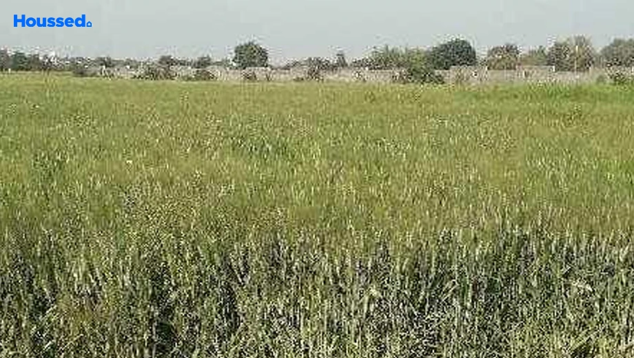 Project Image of Commercial Land for Resale in Kolar Road - Image 146193