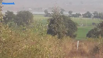 Project Image of Agriculture Land for Resale in Bhanpur, Bhopal - Image 146204