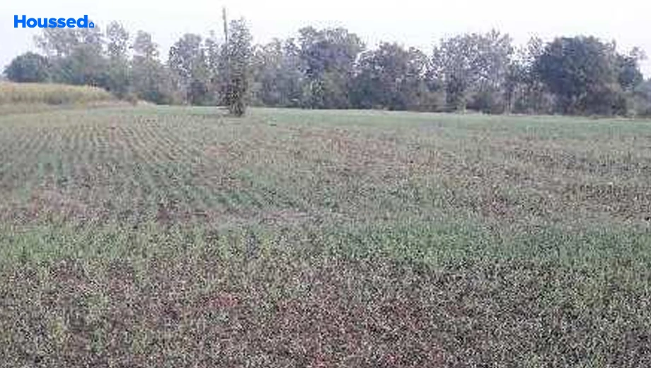 Project Image of Agriculture Land for Resale in Phanda Kala - Image 146364