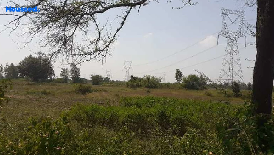 Project Image of Agriculture Land for Resale in Neelbad - Image 146393