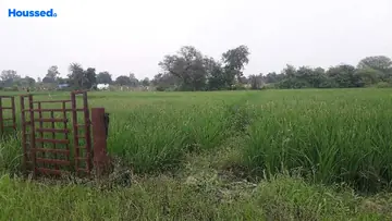 Project Image of Agriculture Land for Resale in Hoshangabad Road, Bhopal - Image 146420