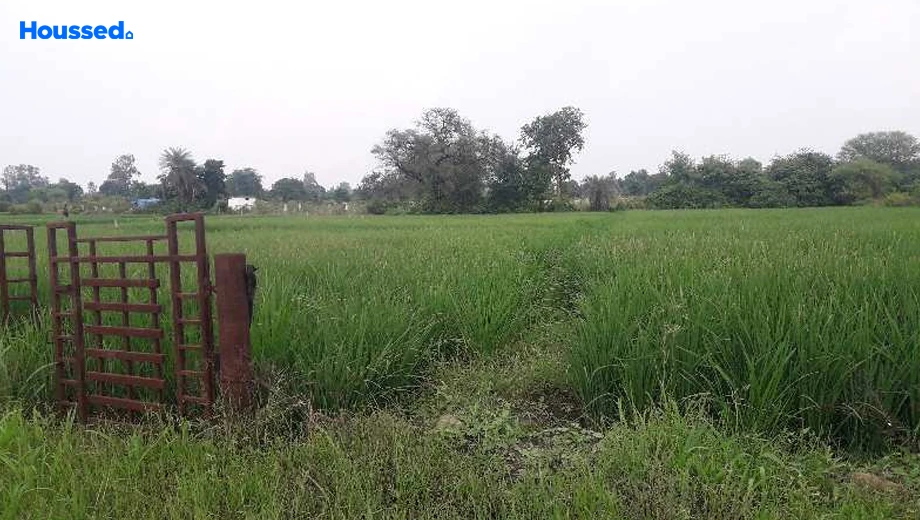 Project Image of Agriculture Land for Resale in Hoshangabad Road - Image 146420