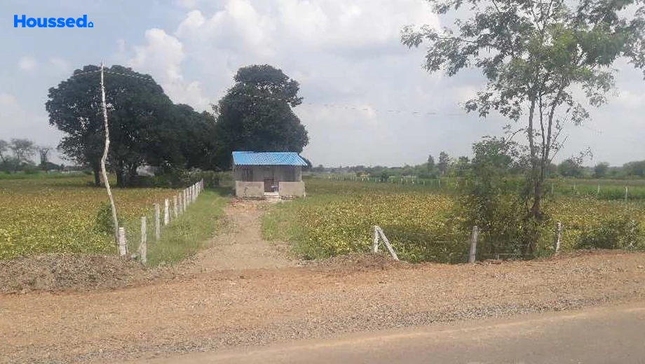 Project Image of Agriculture Land for Resale in Phanda Kala - Image 146443