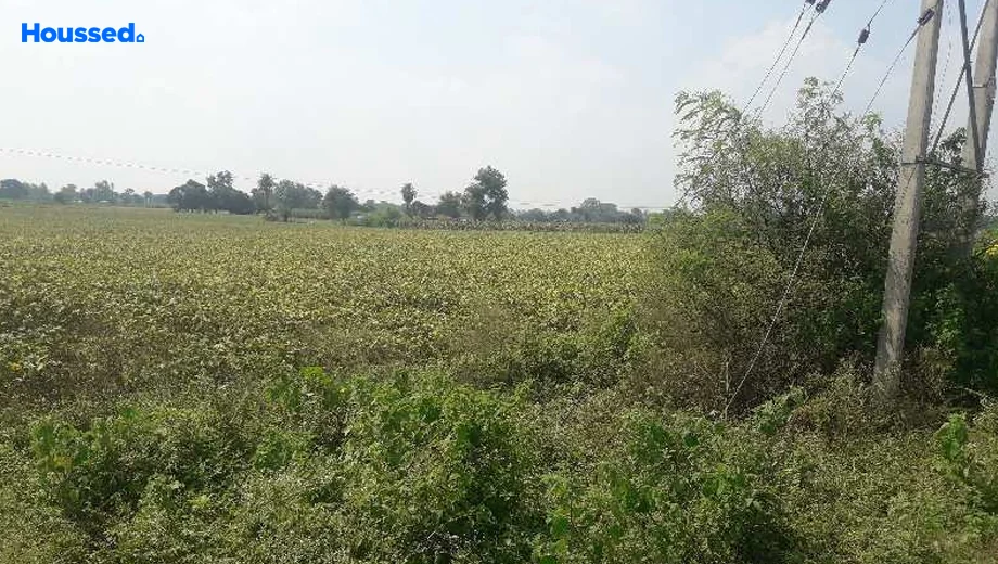 Project Image of Agriculture Land for Resale in Ratibad - Image 146444