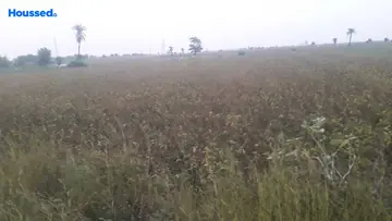 Project Image of Agriculture Land for Resale in Ratibad, Bhopal - Image 146445