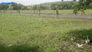 Project Image of Agriculture Land for Resale in Ratibad, Bhopal - Image 146592