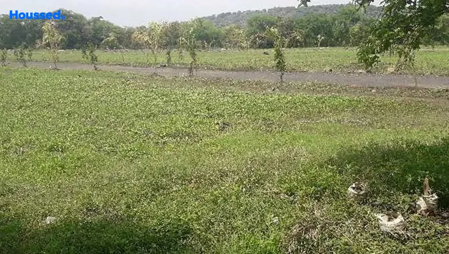 Project Image of Agriculture Land for Resale in Ratibad - Image 146592
