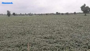 Project Image of Agriculture Land for Resale in Khajuri kalan, Bhopal - Image 146457