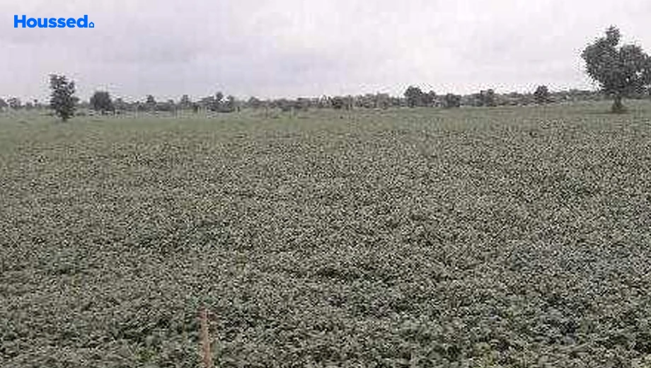 Project Image of Agriculture Land for Resale in Khajuri kalan - Image 146457