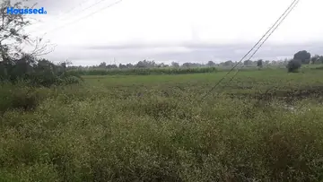 Project Image of Agriculture Land for Resale in Neelbad, Bhopal - Image 146458