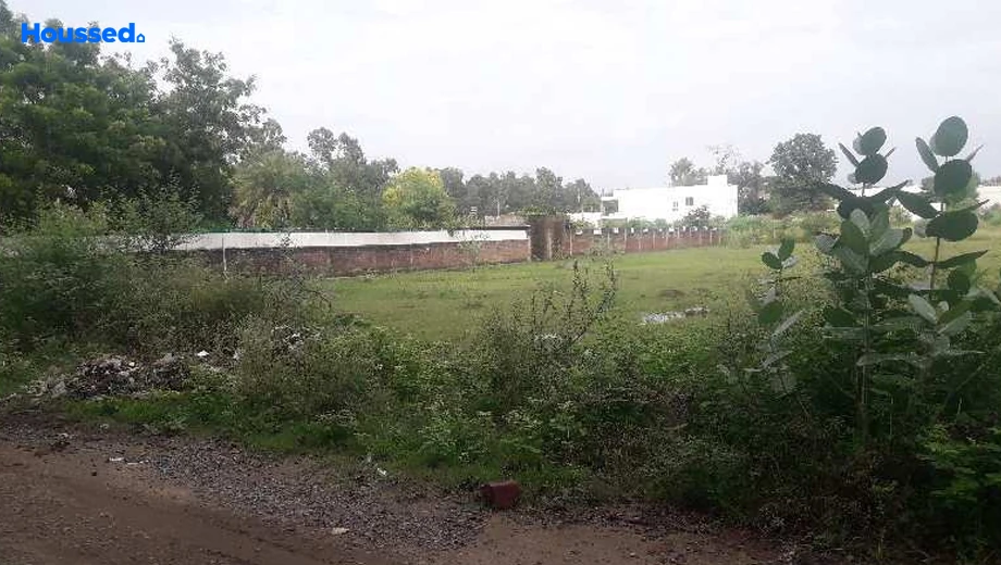 Project Image of Agriculture Land for Resale in Neelbad - Image 146459