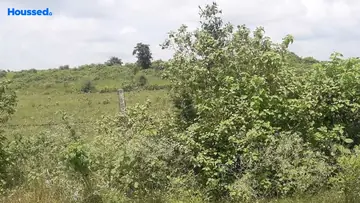 Project Image of Agriculture Land for Resale in Ratibad, Bhopal - Image 146461