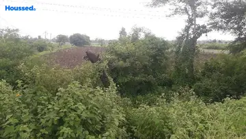 Project Image of Commercial Land for Resale in Phanda Kala, Bhopal - Image 146477