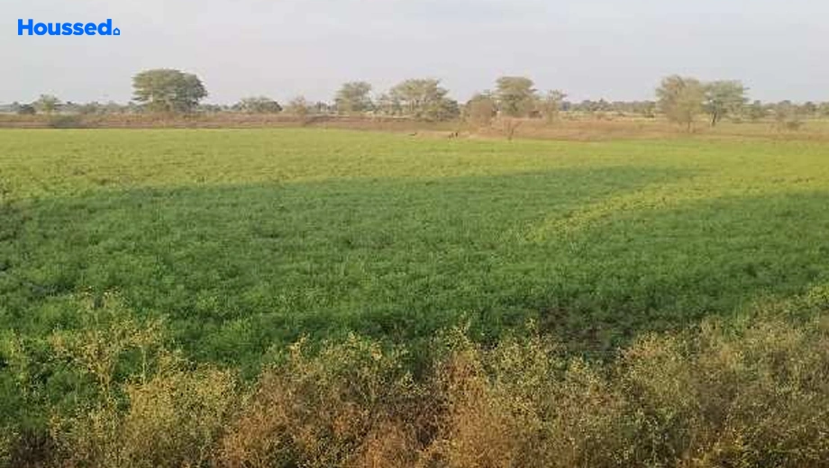 Project Image of Agriculture Land for Resale in Kolar Road - Image 146495