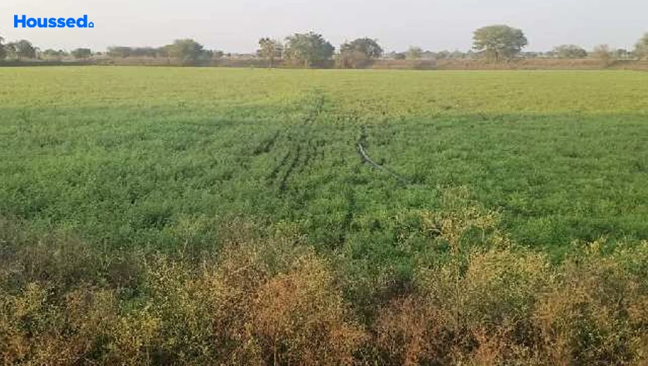 Project Image of Industrial Land for Resale in Mandideep - Image 146619