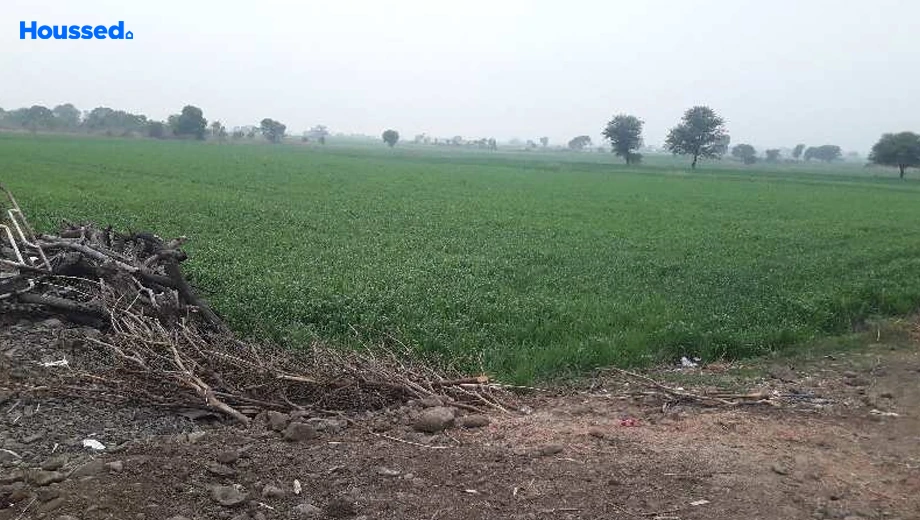 Project Image of Agriculture Land for Resale in Phanda Kala - Image 146623