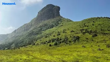 Project Image of Housing Plot/Residential Land for Resale in Igatpuri, Nashik - Image 146676