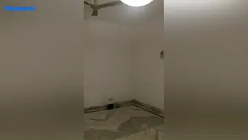 Project Image of 3 BHK Flat for Rent in Kalkaji, New Delhi - Image 146743