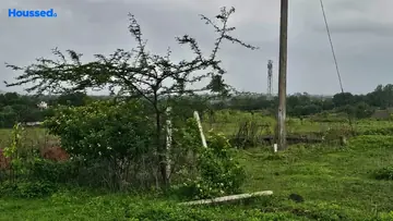 Project Image of Housing Plot/Residential Land for Resale in Palase, Nashik - Image 146951