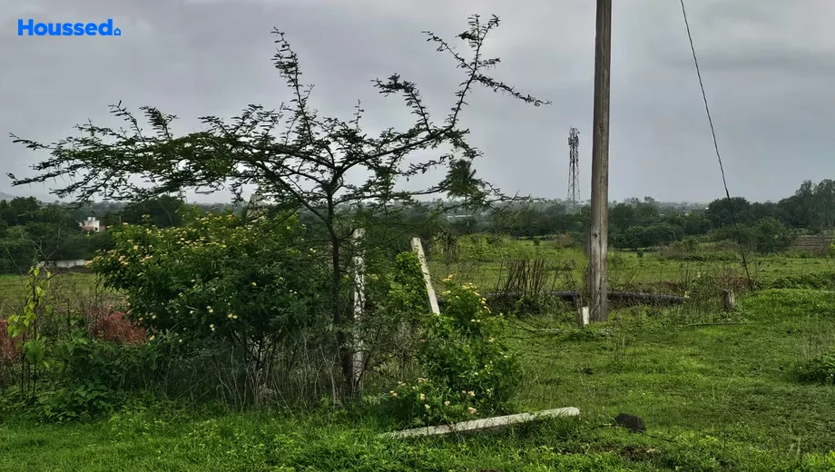 Project Image of Housing Plot/Residential Land for Resale in Palase - Image 146951