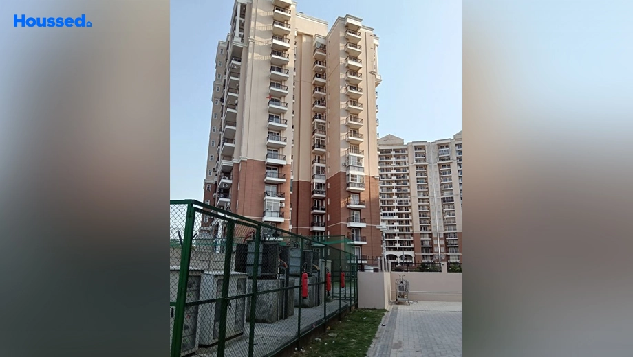 Project Image of 4 BHK Semi-Furnished Penthouse for Rent in Ambika Florence Park, New Chandigarh - Image 147683