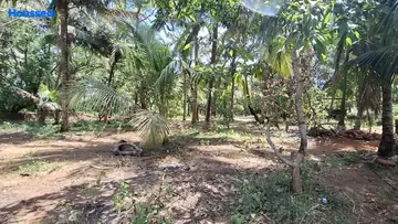 Project Image of Housing Plot/Residential Land for Resale in Colvale, Goa - Image 149003