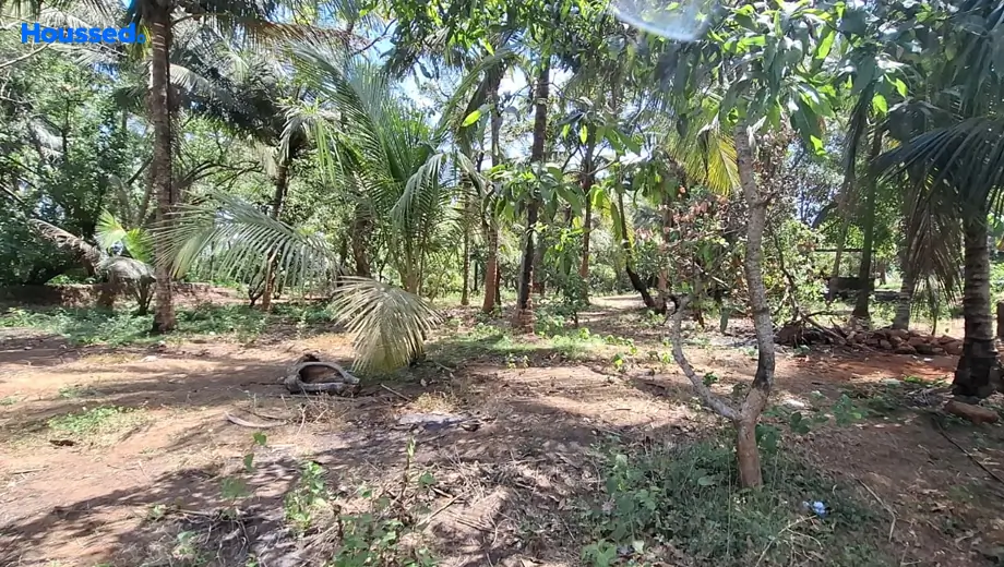Project Image of Housing Plot/Residential Land for Resale in Colvale - Image 149003