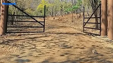 Project Image of Agriculture Land for Resale in Wardha Road, Nagpur - Image 149144