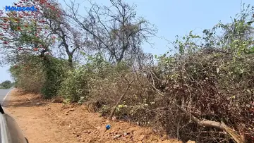 Project Image of Housing Plot/Residential Land for Resale in Kadamba Plateau, Goa - Image 149310