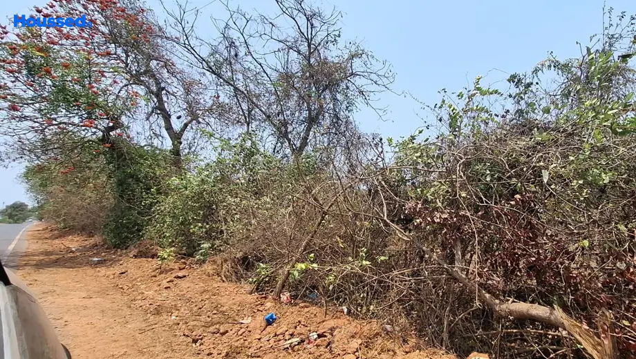 Project Image of Housing Plot/Residential Land for Resale in Kadamba Plateau - Image 149310
