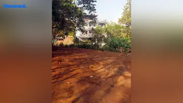 Project Image of Housing Plot/Residential Land for Resale in Porvorim, Goa - Image 150025