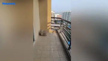 Project Image of 3 BHK Flat for Rent in Ulwe, Navi Mumbai - Image 150621